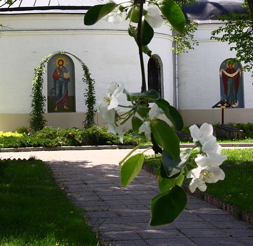 Свято троицкого стефано махрищского. Стефано-Махрищский женский монастырь источник.